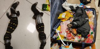 smuggling monitor lizards