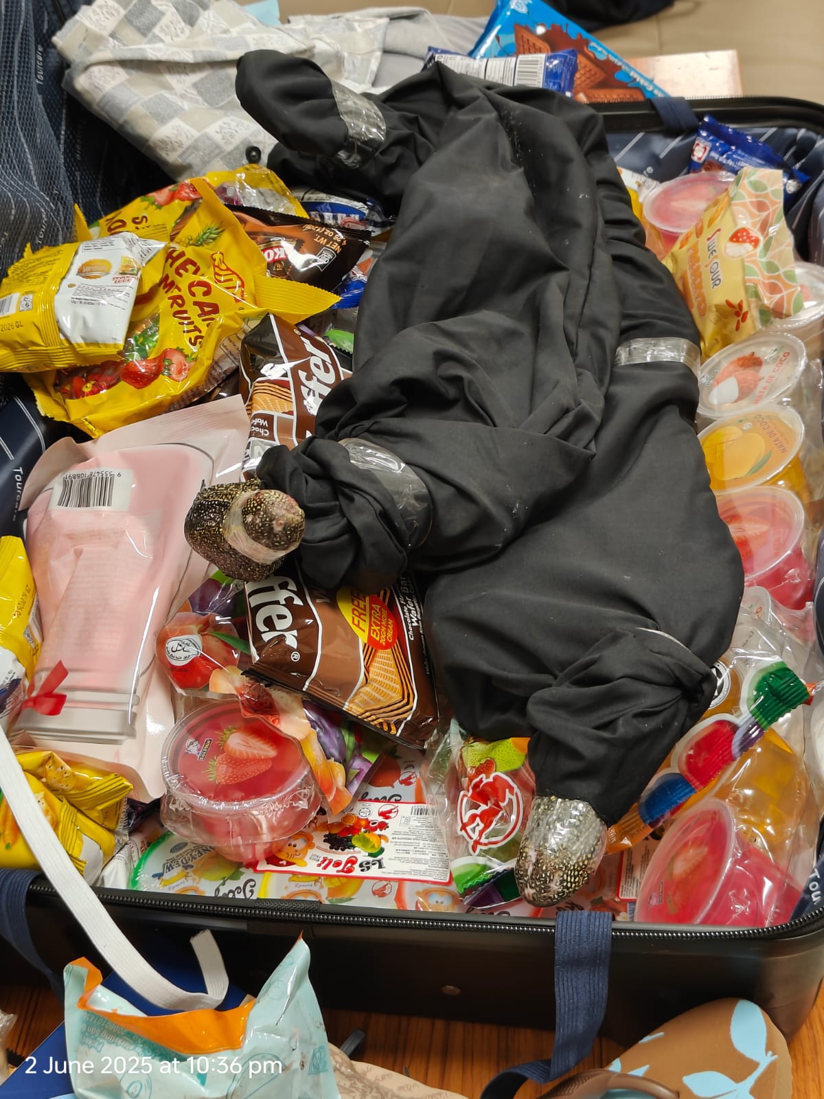 smuggling monitor lizards