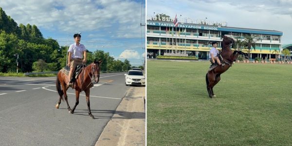 student horse school