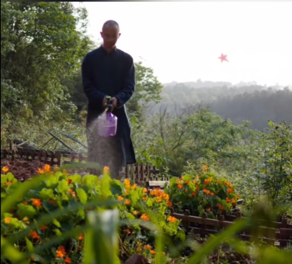 work marriage waste cave garden