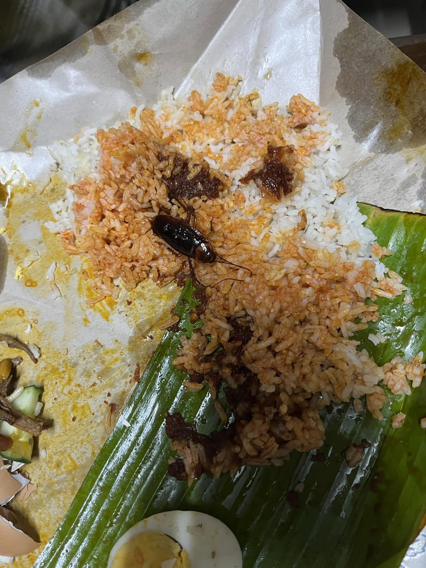 cockroach in nasi lemak source: scsyrh on threads