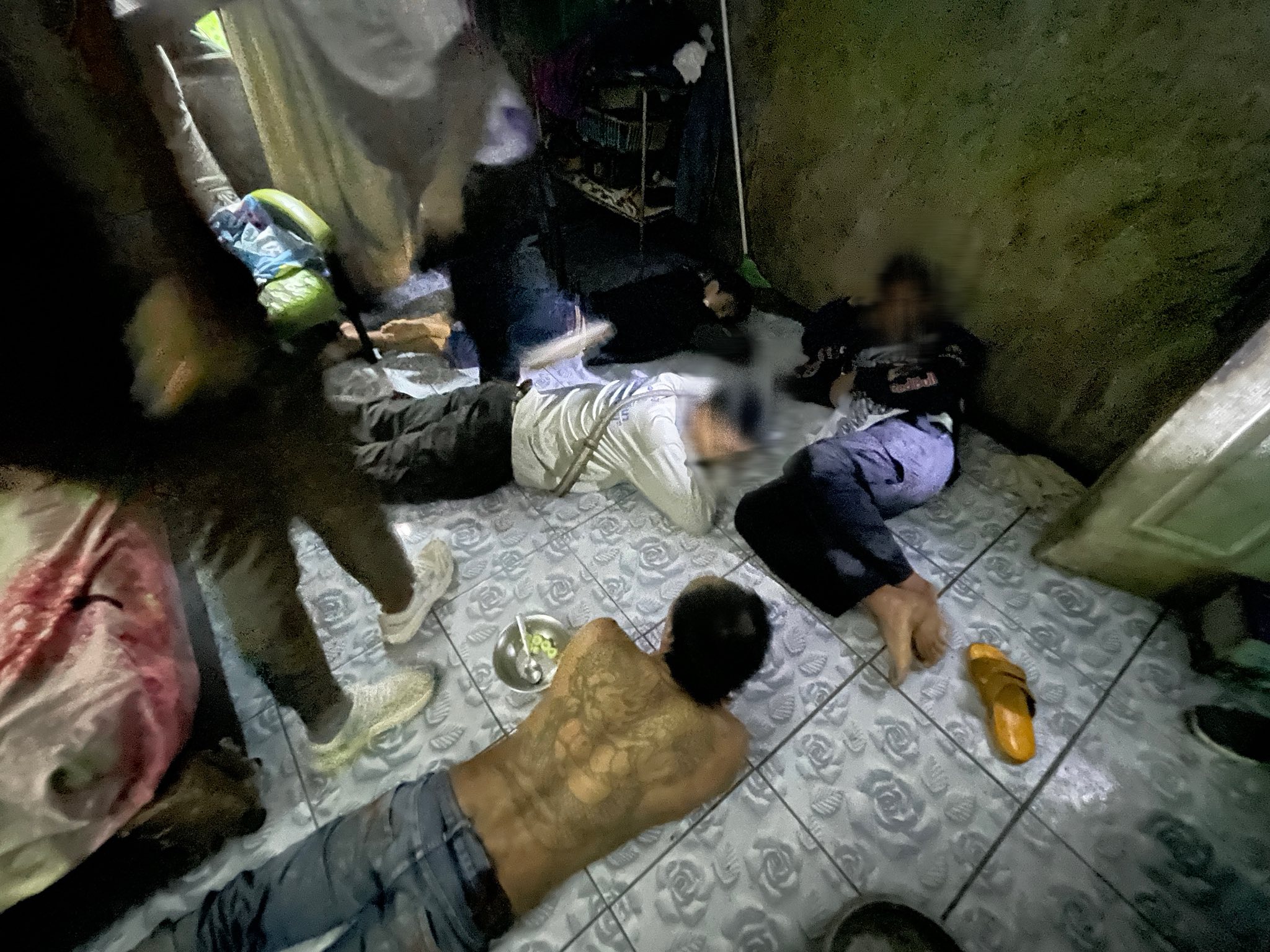 meth stray cats dogs