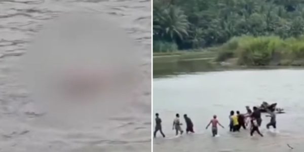 80-year-old crocodile indonesia