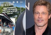 Brad Pitt SYL