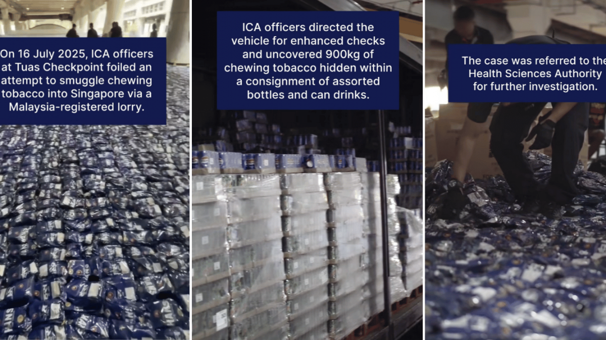 is chewing tobacco allowed in malaysia Malik Streams ICA officers seize 900kg of