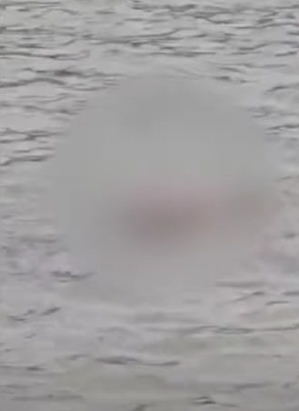 80-year-old crocodile indonesia