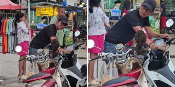 bees nest motorcycle