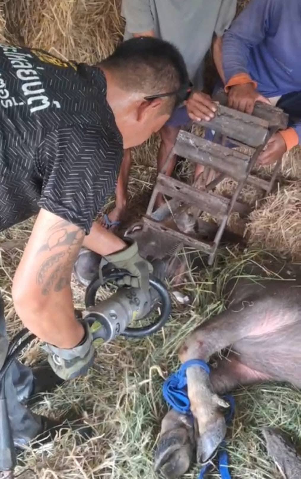 buffalo head stuck wheel tool