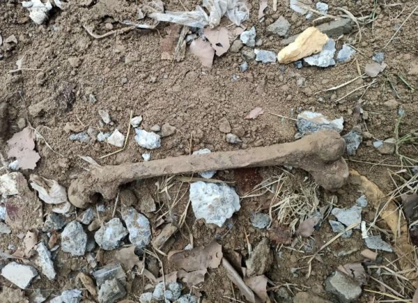 human bones home china