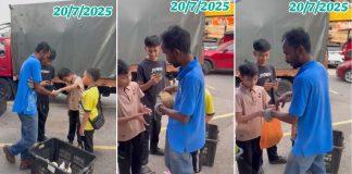 children musang king