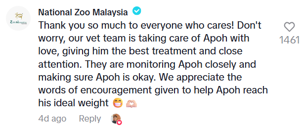 chonky panther malaysia zoo