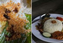 cockroach in nasi lemak picture from scsyrh on threads, stock nasi lemak picture by Aldrin Rachman Pradana on unsplash