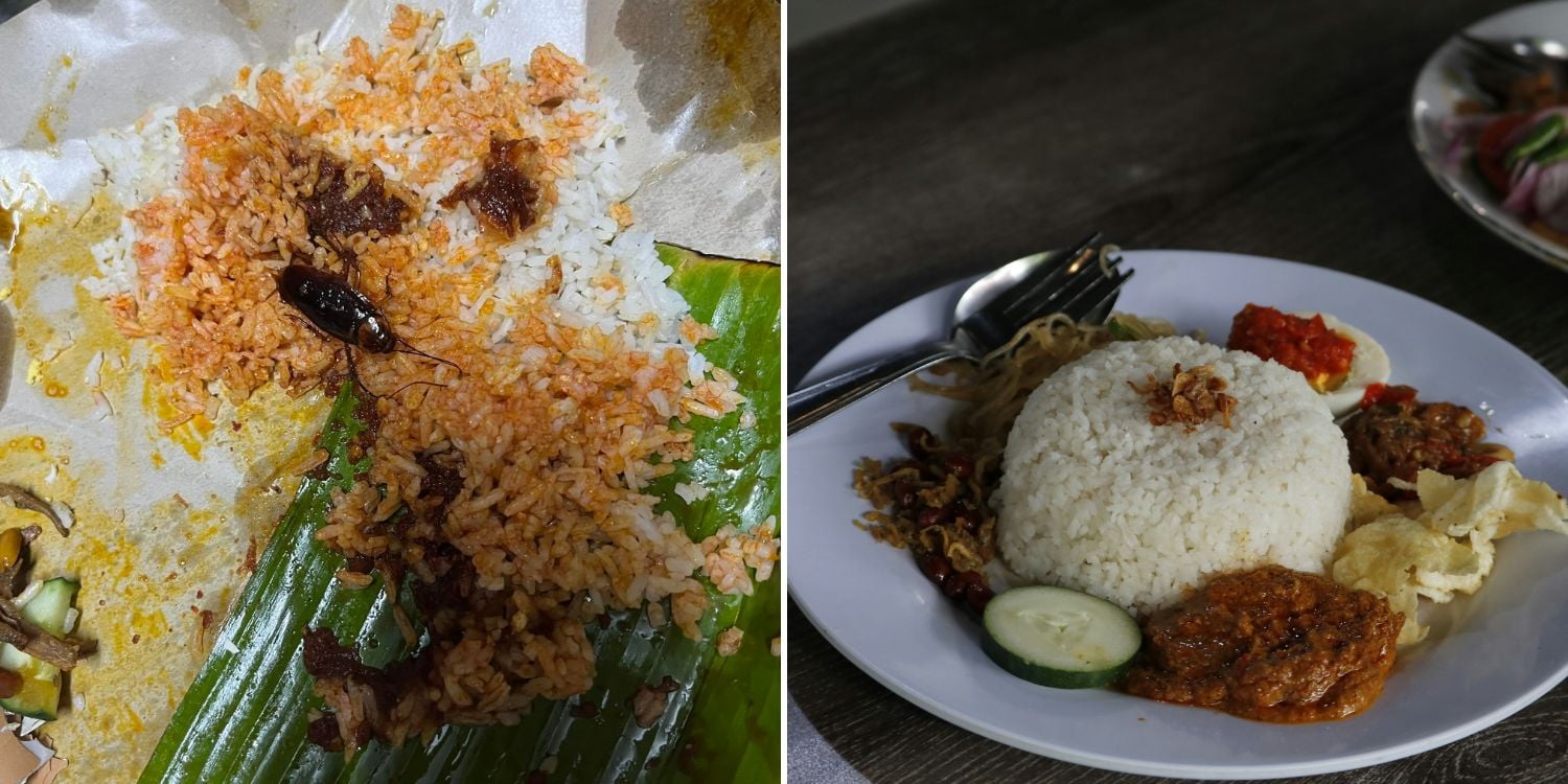 cockroach in nasi lemak picture from scsyrh on threads, stock nasi lemak picture by Aldrin Rachman Pradana on unsplash