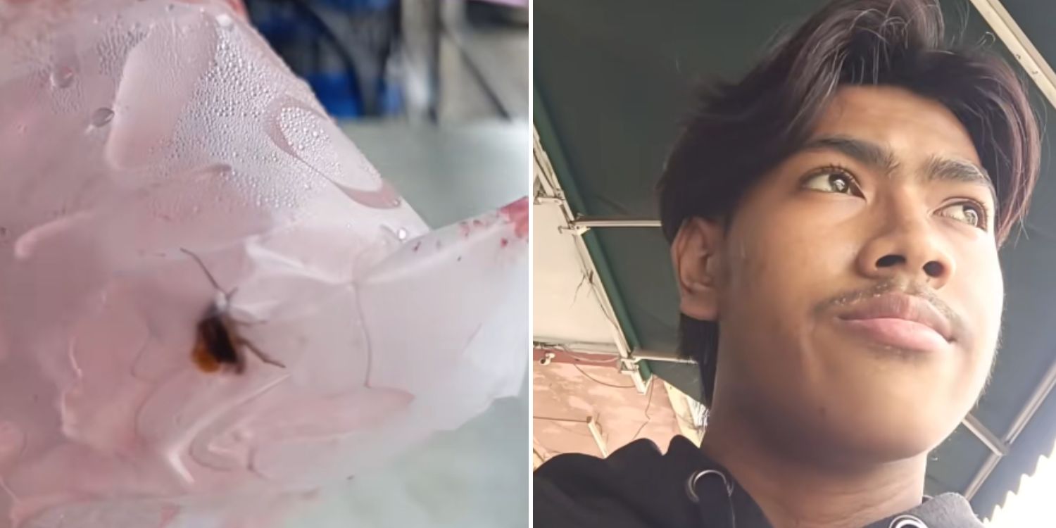 cockroach watermelon juice