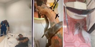 dead man resort cobra