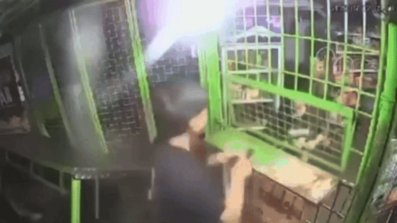 drunk policeman store gun (2)