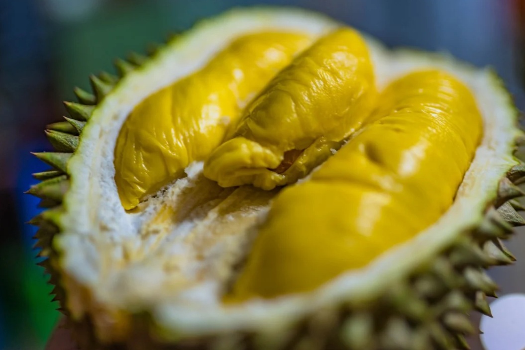 durian price war