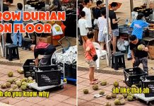durians on ground