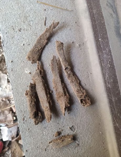 human bones home china