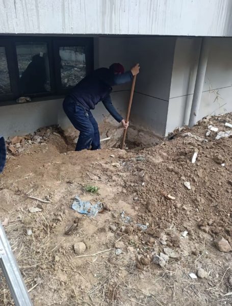 human bones home china