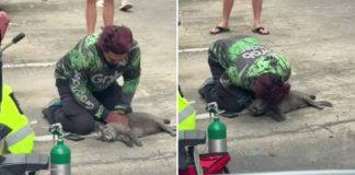 grab rider rescuing cat