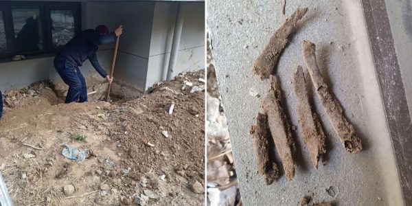 human bones home china