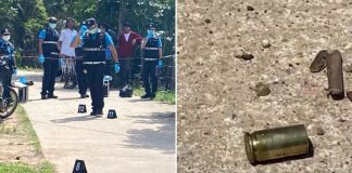 man neighbour pet bird