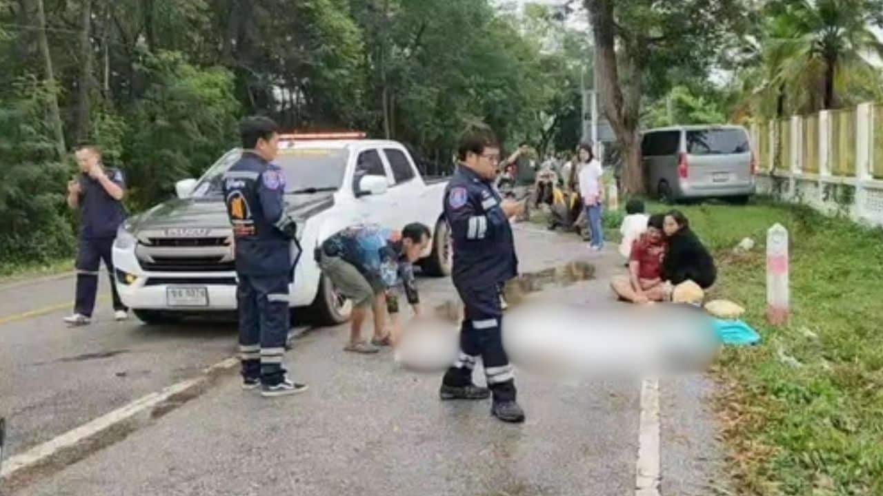 man runs over mum (2)