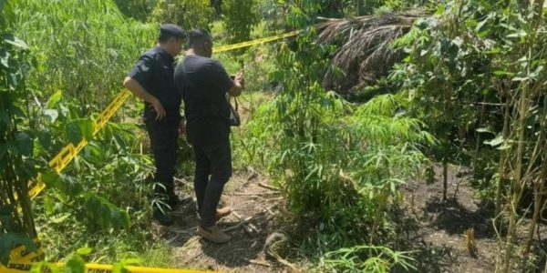 man shot woman orchard