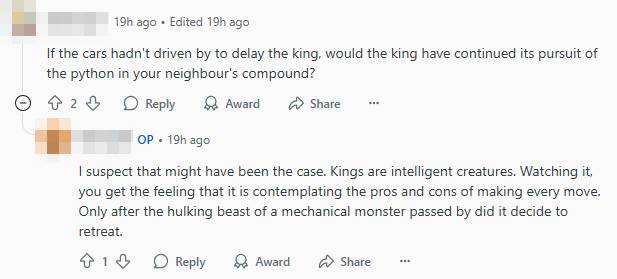 python old upper thomson