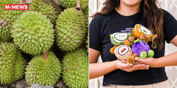 S$30 durian buffet near Second Link has Musang King, Black Thorn & more, with blind box plushies to collect