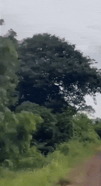 thailand cambodia exchange fire explosion