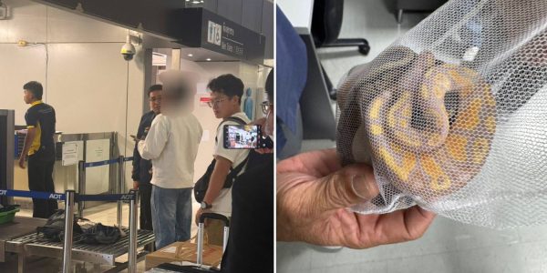 three pythons airport