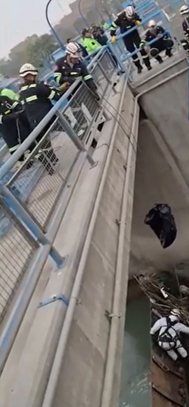 tiktoker dismembered (2)