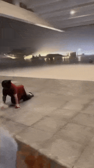 typhoon wipha crawling