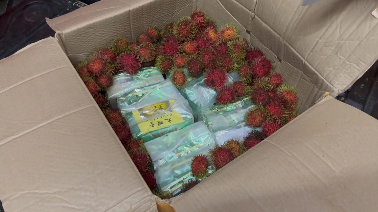 100kg crystal meth canal rambutan