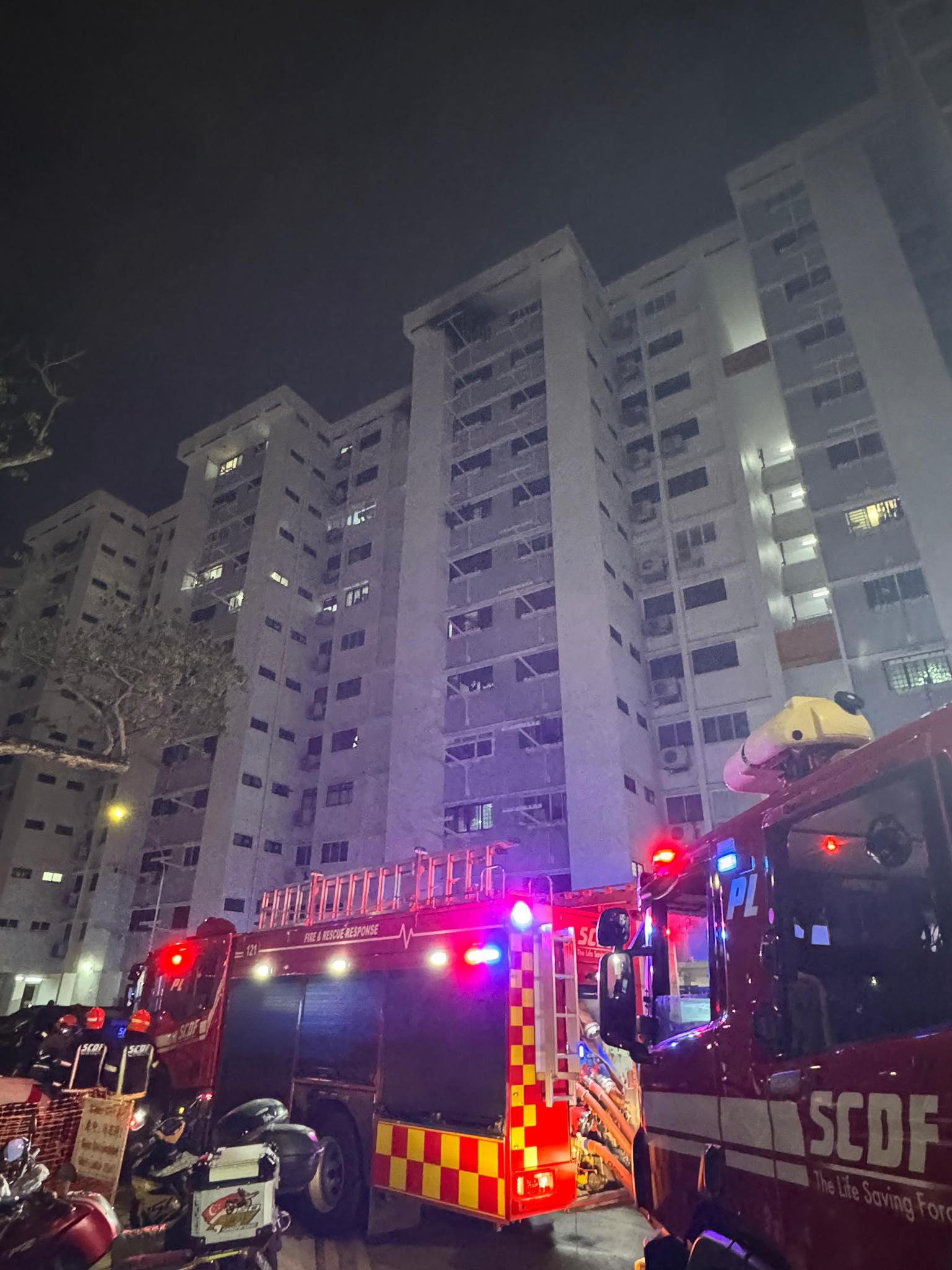 Bukit Purmei fire