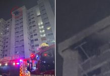 Bukit Purmei fire