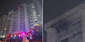Bukit Purmei fire