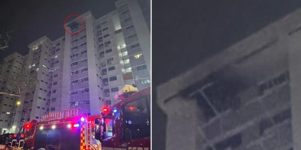 Bukit Purmei fire