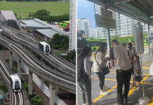 LRT disruption