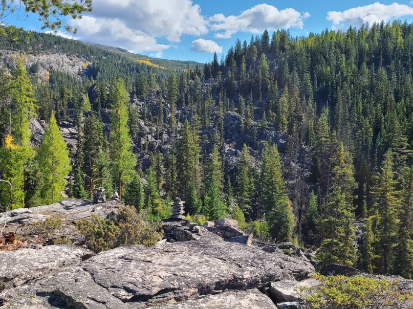 camper singing nickelback