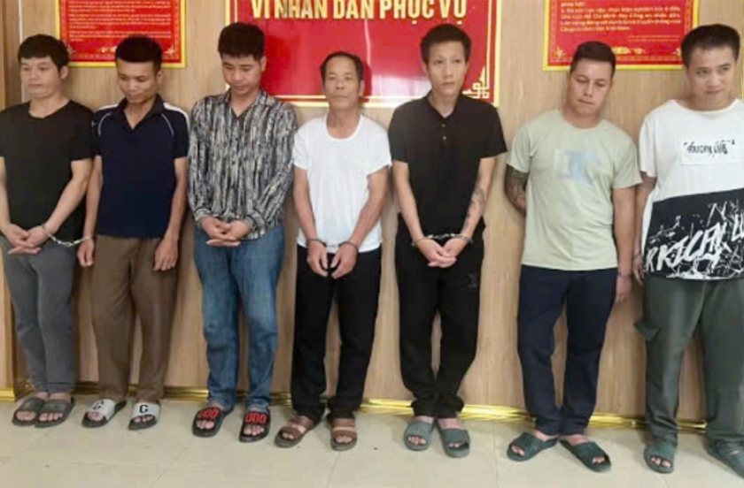 men stealing 50 dogs