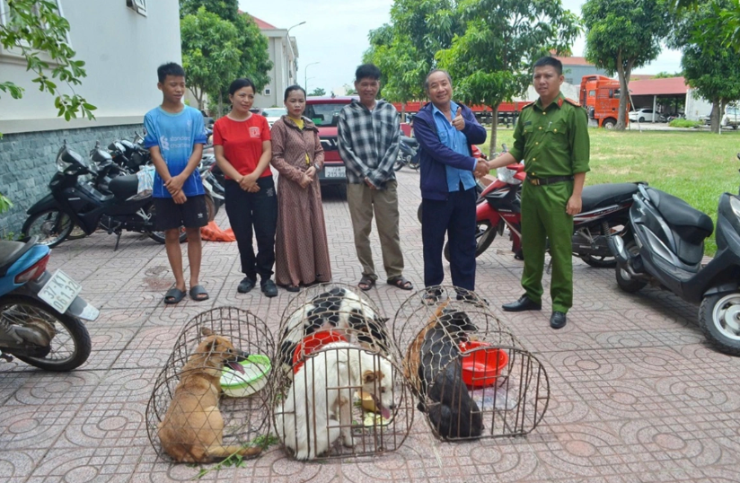 men stealing 50 dogs