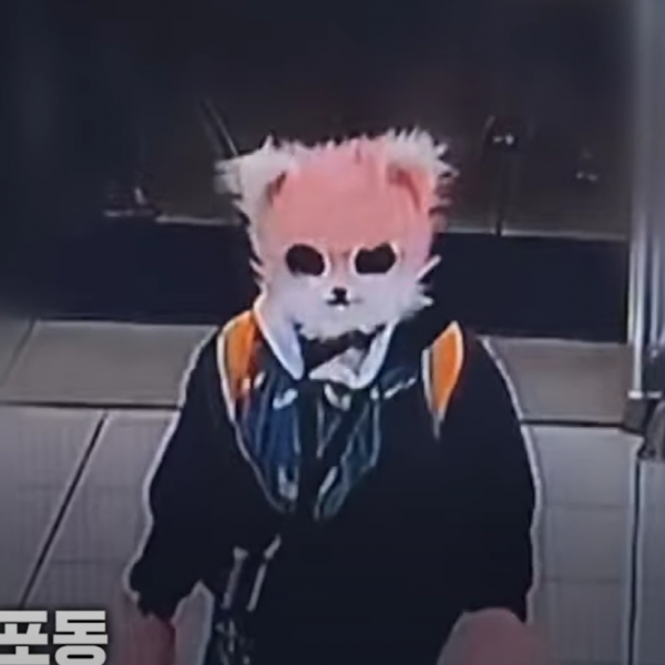 cat woman south korea