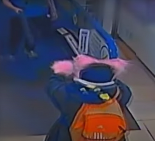 cat woman south korea