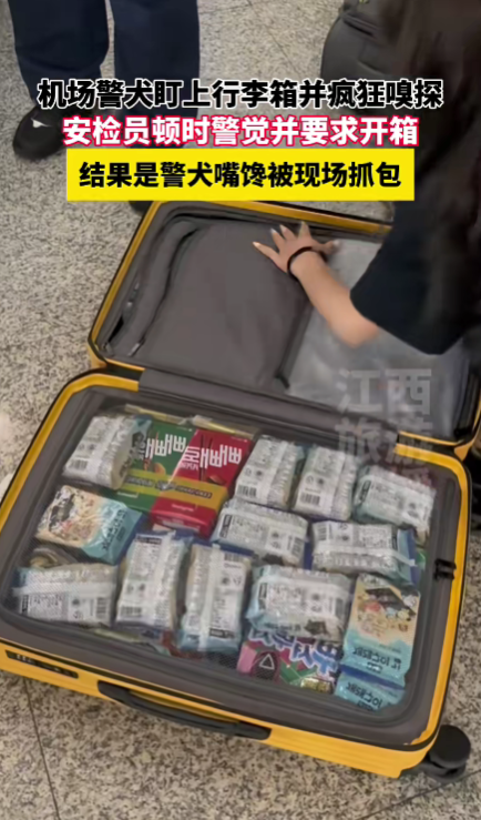 police dog suitcase snacks