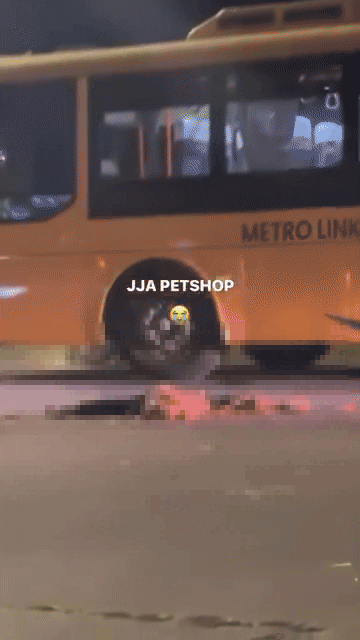 bus conductor cut half