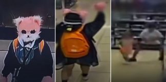 cat woman south korea