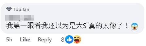 Barbie Hsu resemblance